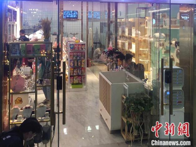 北京市一家寵物店。 中新網(wǎng)