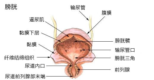 微信圖片_20240624143538.jpg